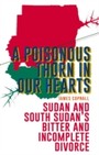 Poisonous Thorn in Our Hearts: Sudan and South Sudan's Bitter and Incomplete Divorce - Sudan and South Sudan's Bitter and Incomplete Divorce